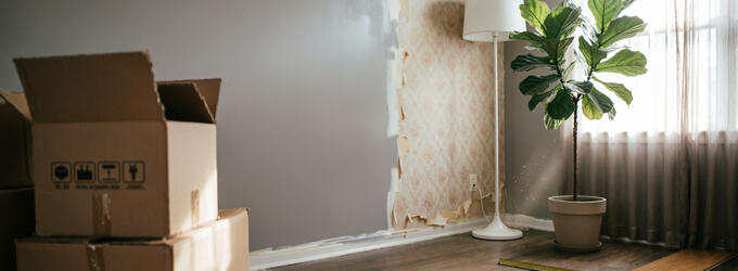 Переезд, ремонт, обустройство